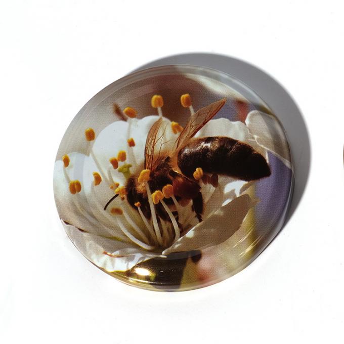 New Design 20mm 38mm 48mm 63mm Custom Color Metal Jar Lids Metal Lug Cap for Canning Jar